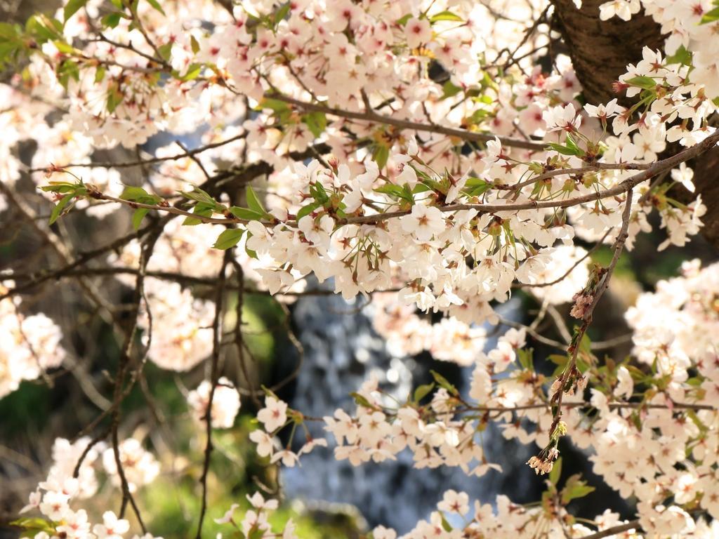 Hotel Yamatoya Yamanouchi  Zewnętrze zdjęcie
