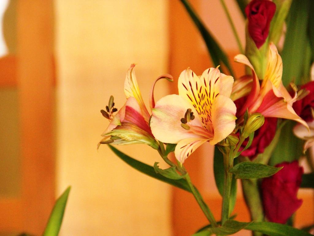 Hotel Yamatoya Yamanouchi  Zewnętrze zdjęcie